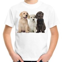 Koszulka z psami rasy labrador dziecięca